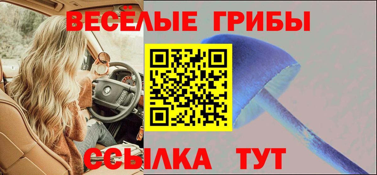 Галлюциногенные грибы Psilocybe  Псилоцибиновые грибы MAGIC MUSHROOMS  Дмитров  Вход с VPN 